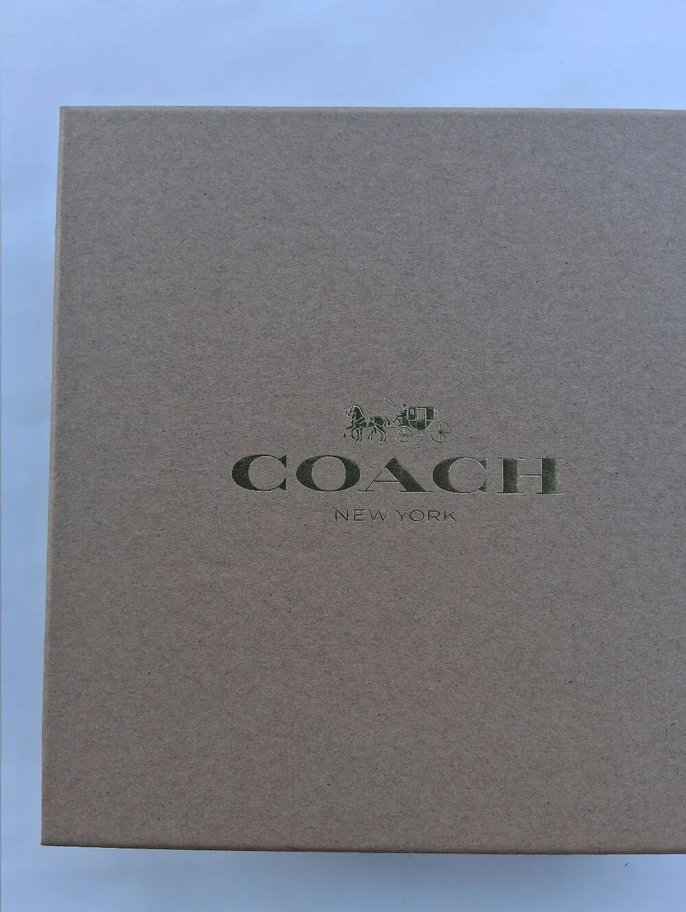 Coach Dog Collar